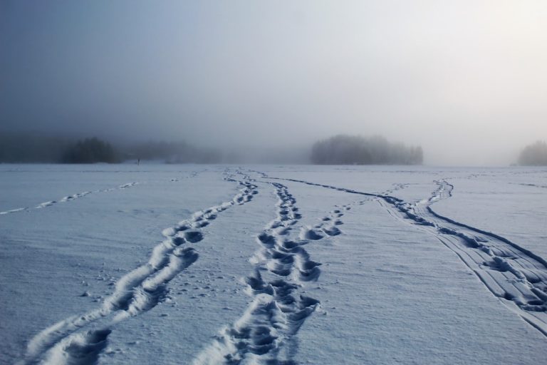 Photo Arctic landscape