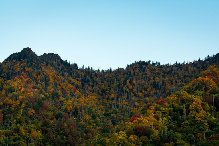 Photo Great Smoky Mountains