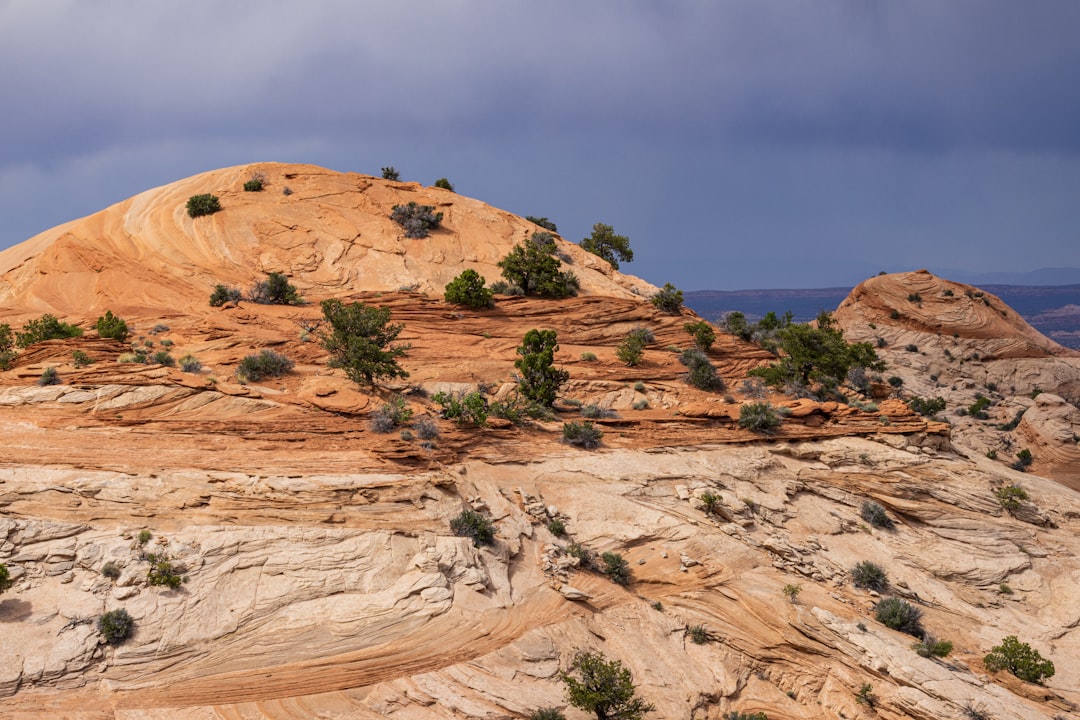 Photo Desert landscape