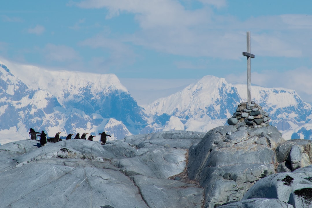 Photo Penguins on ice