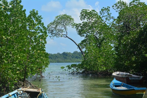 Photo Bijagos Islands