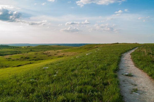 Photo Tallgrass Prairie