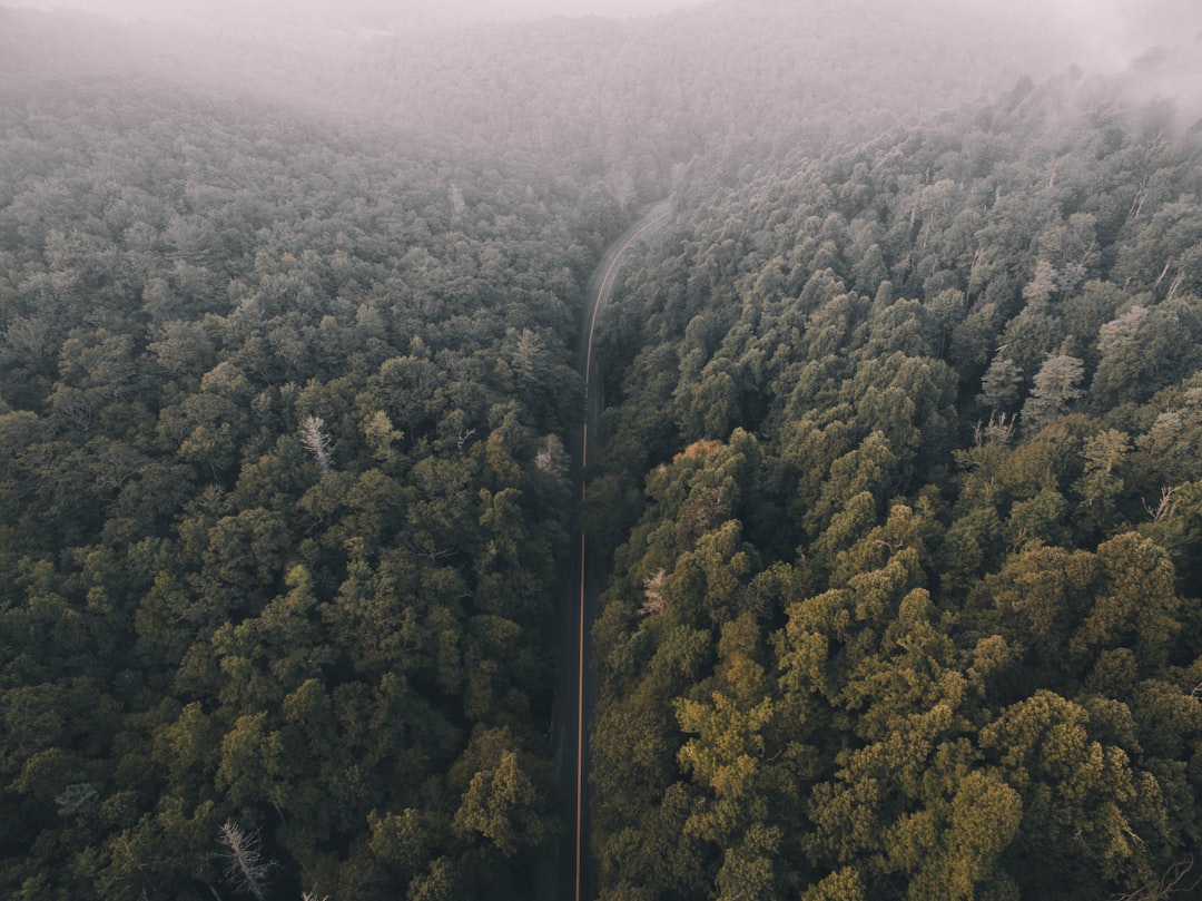 Photo Blue Ridge Mountains